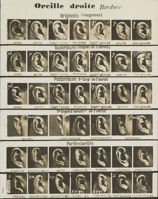 Detail from Tableau synoptic des traits physionomiques